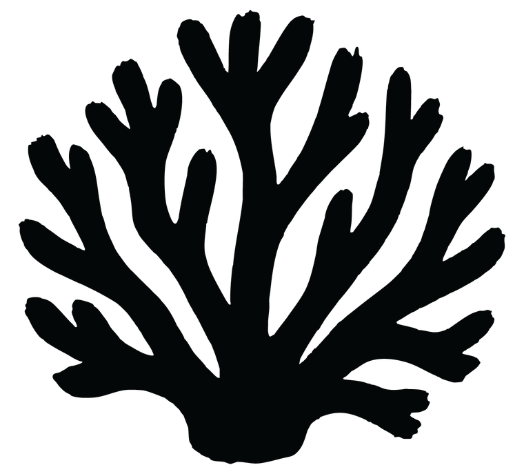 VIDO Coral Monogram